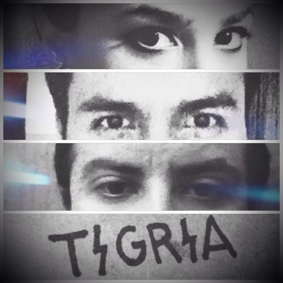 Nueva canción de Tigria