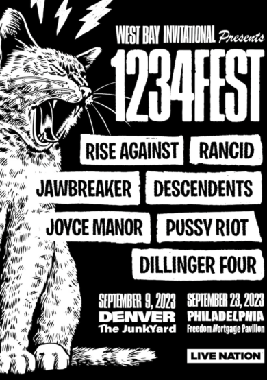 1234 fest, el anti festival de música punk 