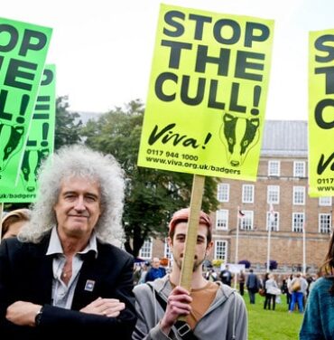 Slash colabora con Brian May