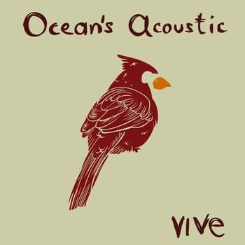 Ocean's Acoustic regalará vive en el Vive Latino