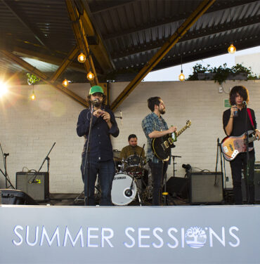 Summer Sessions Timberland: Dolphant