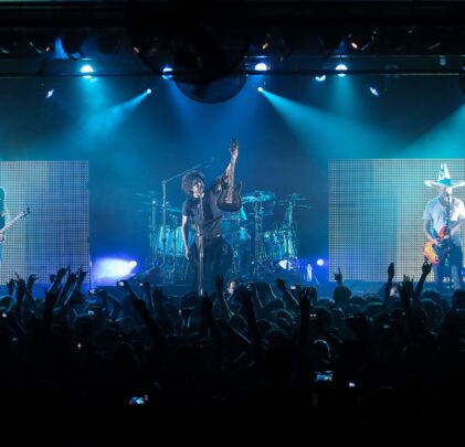 Alice in Chains en el país de los salvajes