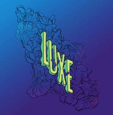 Adult Swim anuncia nueva compilación