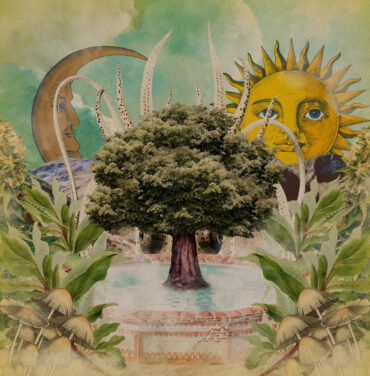 Aladin Fox — Aladin Fox