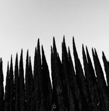 'Black Echo', el nuevo y resonante álbum de Alonso x Ibarra