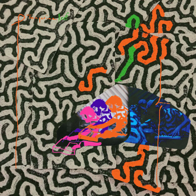 Animal Collective — Tangerine Reef