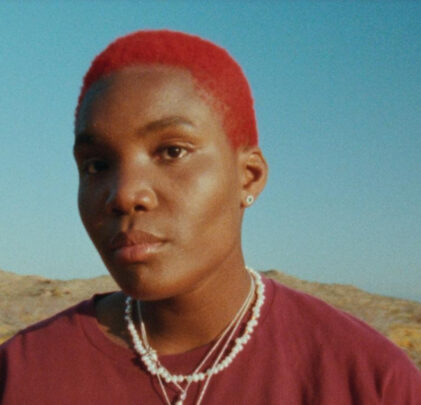 “Pegasus”, lo nuevo de Arlo Parks ft. Phoebe Bridgers