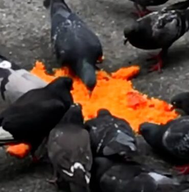 Armand Hammer estrena “Doves” junto a Benjamin Booker