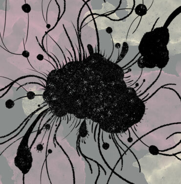 Austin TV estrena “Hasta las Hifas un Micelio”