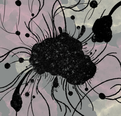 Austin TV estrena “Hasta las Hifas un Micelio”