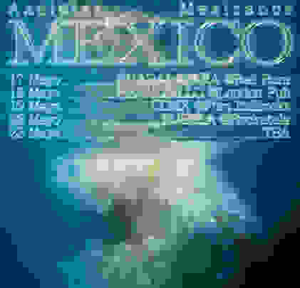 Axolotes Mexicanos tendrá gira por México