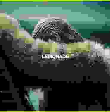 Beyoncé — Lemonade
