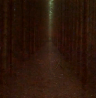 Bibio estrena video para 