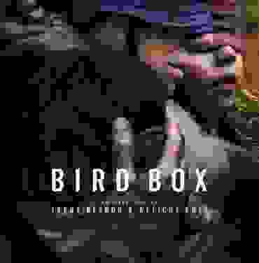 Trent Reznor & Atticus Ross — Bird Box (Abridged) (OST)