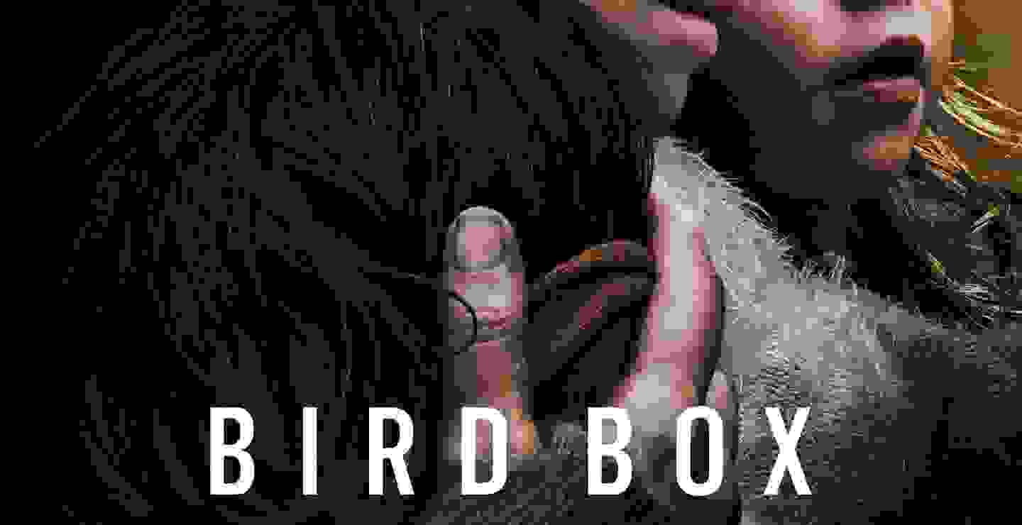 Trent Reznor libera el soundtrack de Bird Box