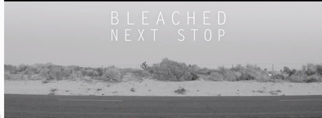 Bleached presenta video para 