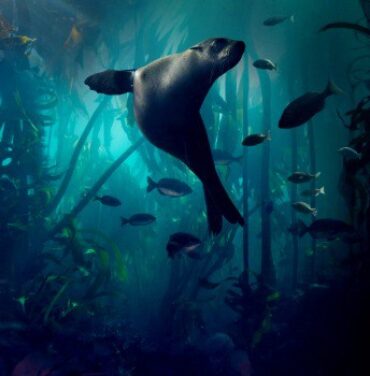 Escucha la colaboración de Radiohead y Hans Zimmer