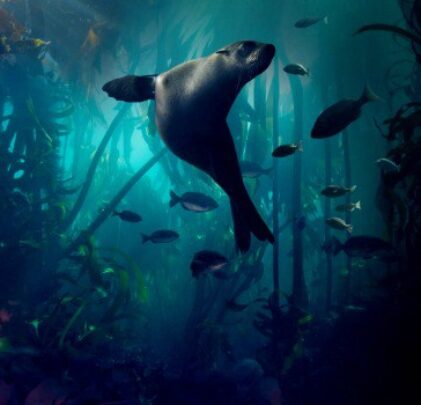 Escucha la colaboración de Radiohead y Hans Zimmer