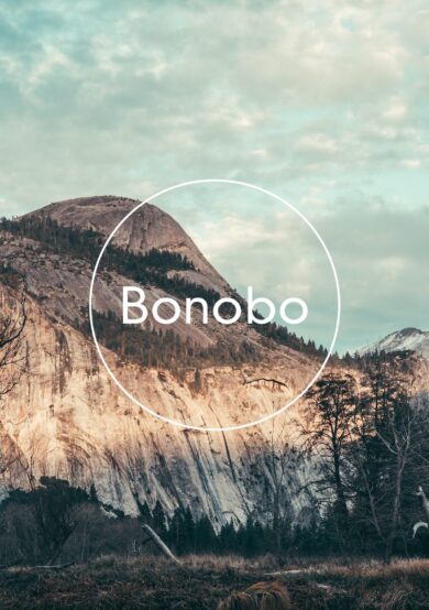 Bonobo regresa a México este 2018