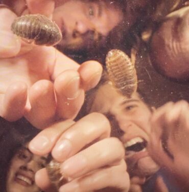 Crumb estrena “The Bug”