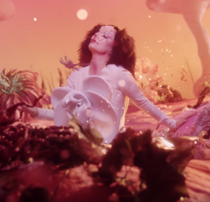 Björk estrena video para 