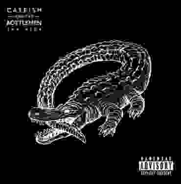 Catfish and the Bottlemen – The Ride