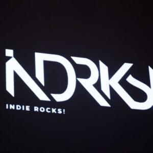 !!! (chk chk chk) en el Foro Indie Rocks!