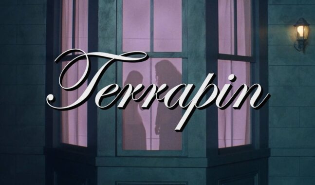 “Terrapin”, el nuevo video de Clairo