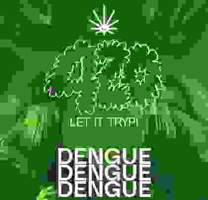 Dengue Dengue Dengue hipnotizará el Foro Indie Rocks!