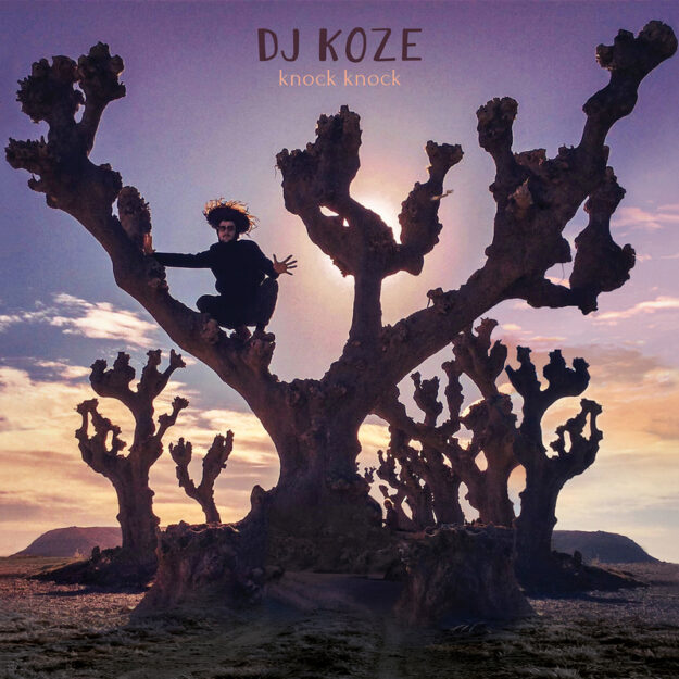 DJ Koze — Knock Knock