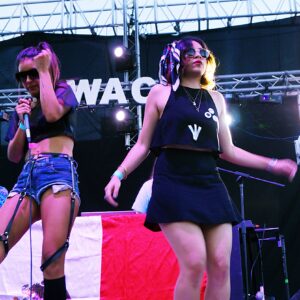 Waco Music Festival 2014