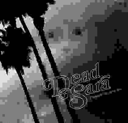 Dead Sara - 'Pleasure To Meet You'
