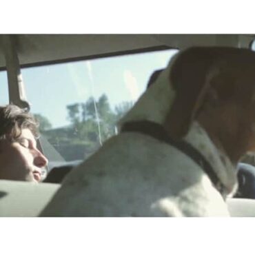 Deerhunter estrena video 