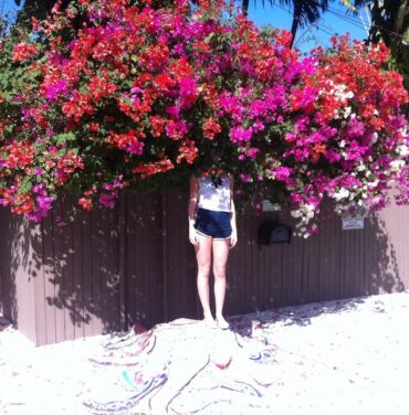 Elf Power anuncia nuevo álbum