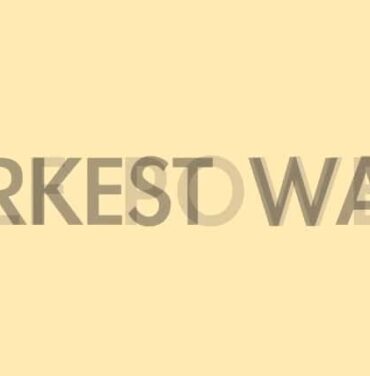 Elf Power estrena video