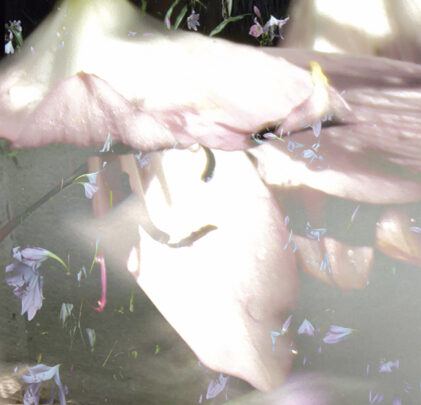 Estrella del Sol y Mabe Fratti presentan “Ver a Través de tus Ojos”