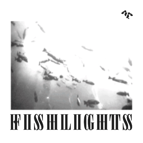 Fishlights estrena EP y sencillo
