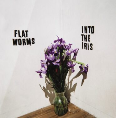 Flat Worms — Into The Iris