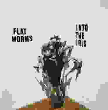 Flat Worms — Into The Iris