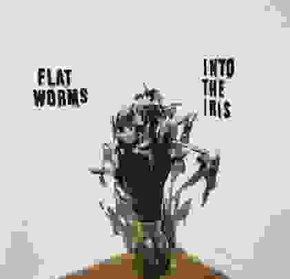 Flat Worms — Into The Iris