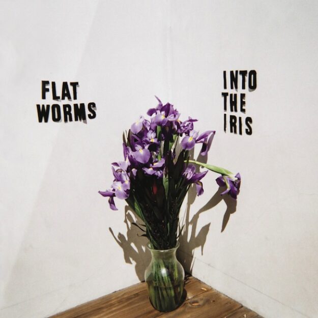 Flat Worms — Into The Iris