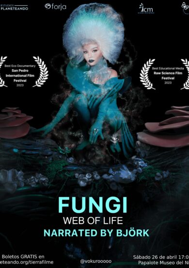 'FUNGI: Web of Life', narrado por Björk se proyectará en Papalote Museo del Niño