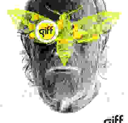 GIFF: Guanajuato International Film Festival 2015