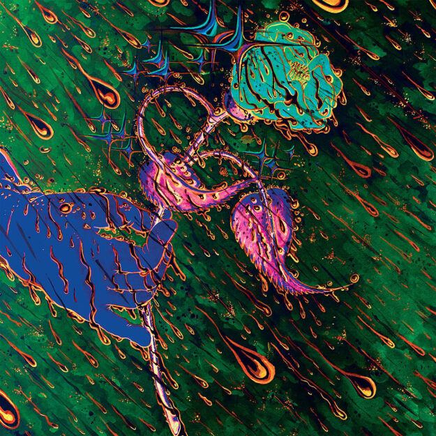 Grave Flowers Bongo Band — Strength of Spring