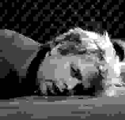 “Dilemma”, lo nuevo de Green Day