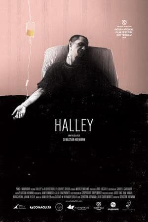 Halley: Bitácora sobre la muerte moderna