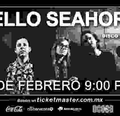 Participa por boletos para ver a Hello Seahorse! en El Plaza