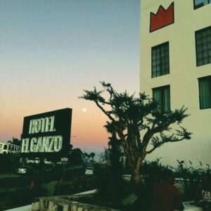 Redescubriendo dos hoteles icónicos de Los Cabos con Hello Seahorse!