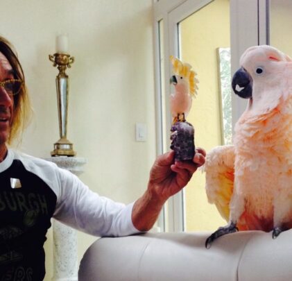 La cacatúa de Iggy Pop es nombrada patrona fundadora de un hospital