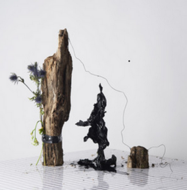 Is Tropical - Black Anything